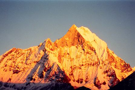 A Trek in Nepal