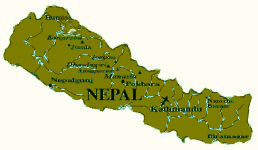 Nepalese Oolong Teas